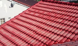 roof_painting2